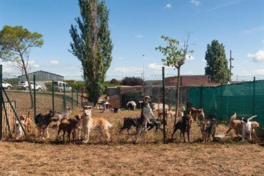 El Centre Comarcal d’Acollida d’Animals de Companyia estrena contracte