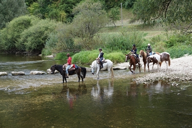 El Consell Comarcal del Pla de l’Estany ofereix un curs de cura i maneig de cavalls als joves d’entre 16 i 29 anys amb el programa “SOM RURALS FEM FUTUR”